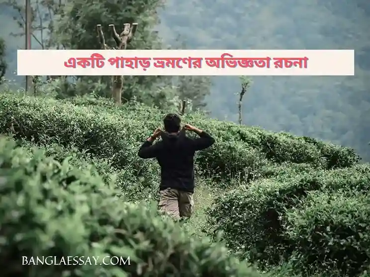 একটি পাহাড় ভ্রমণের অভিজ্ঞতা রচনা