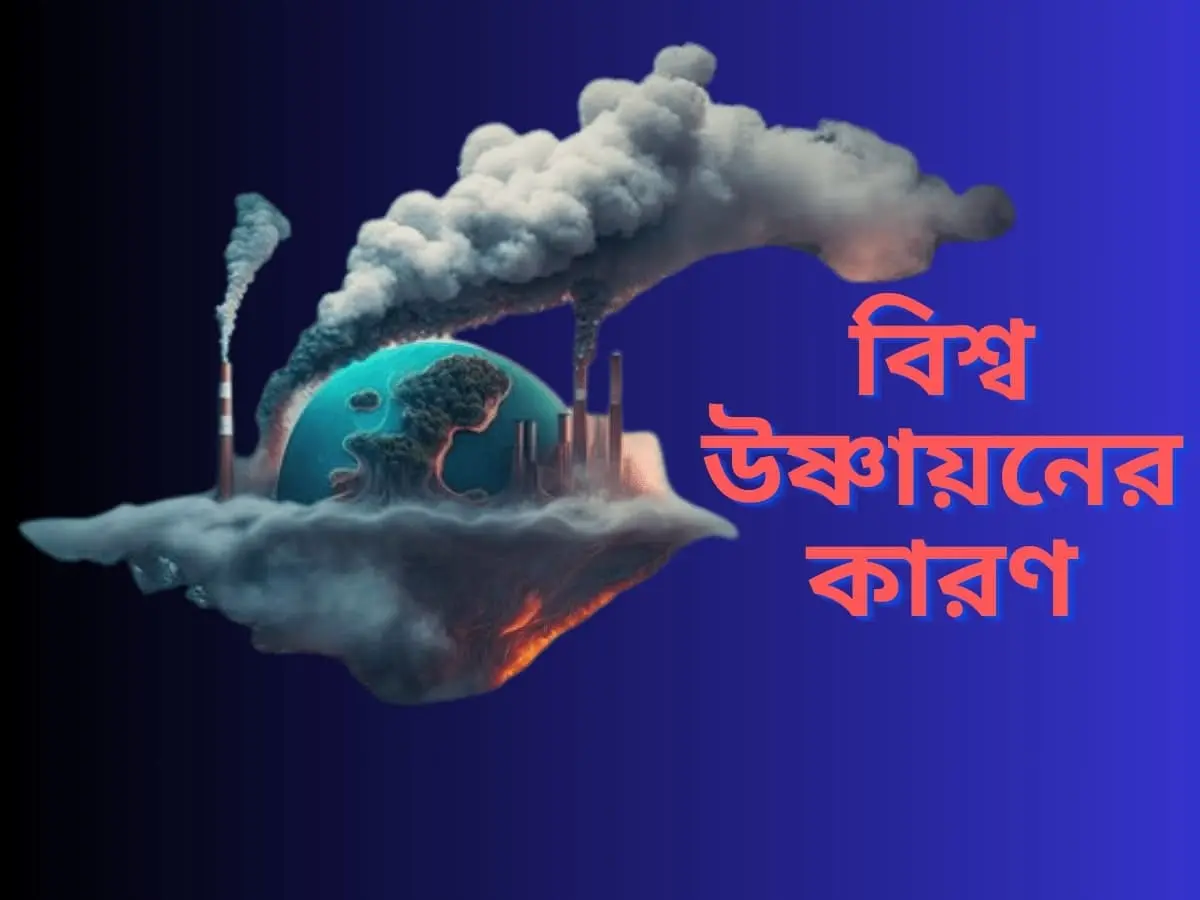 বিশ্ব উষ্ণায়নের কারণ