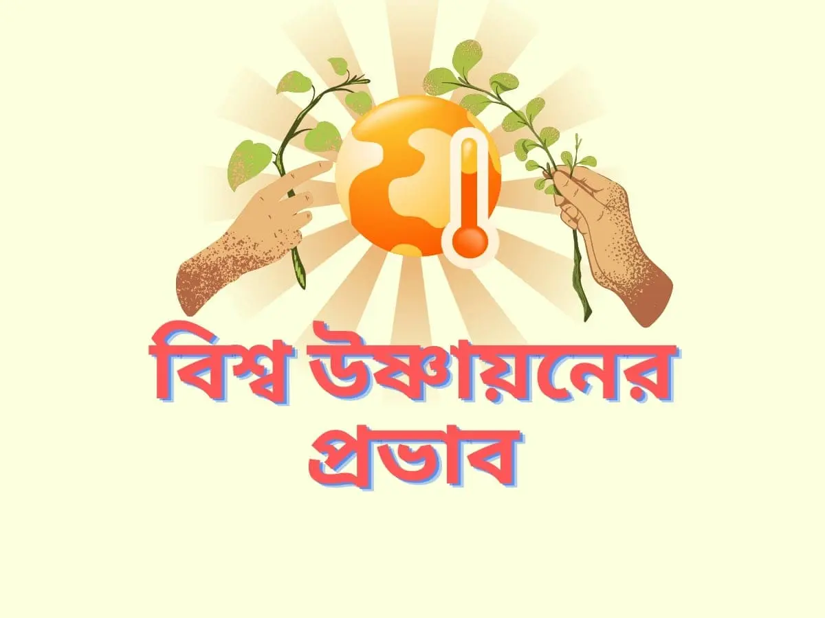 বিশ্ব উষ্ণায়নের প্রভাব