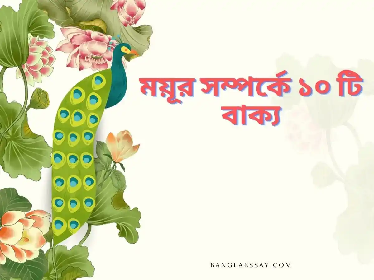 ময়ূর সম্পর্কে ১০ টি বাক্য