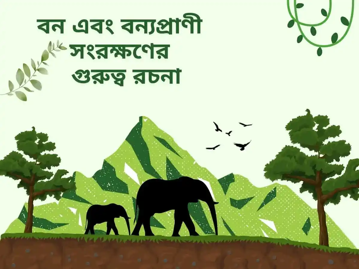 বন এবং বন্যপ্রাণী সংরক্ষণের গুরুত্ব রচনা