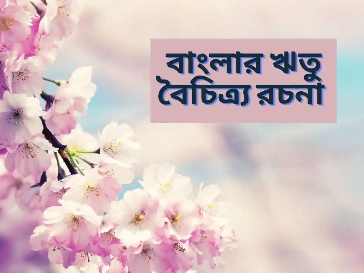 বাংলার ঋতু বৈচিত্র্য রচনা