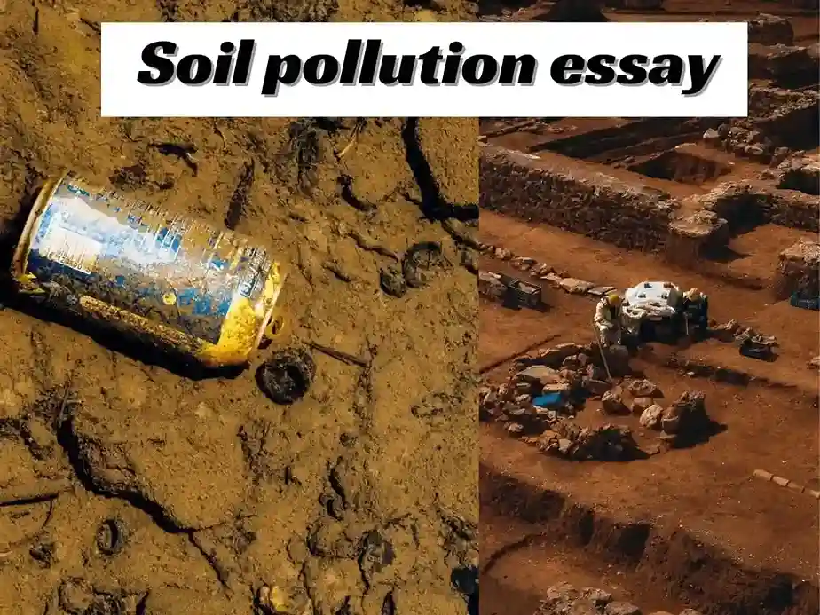 essay on soil pollution