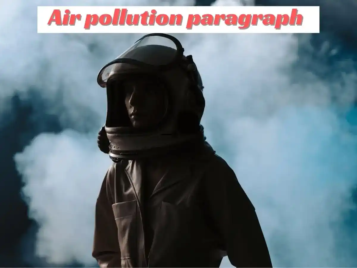 air pollution paragraph