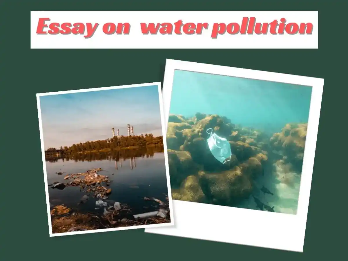 essay on pollution water