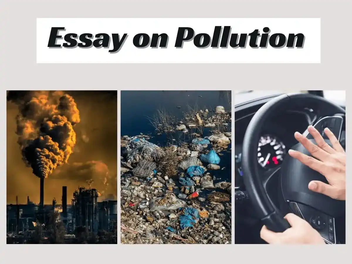 essay on pollution